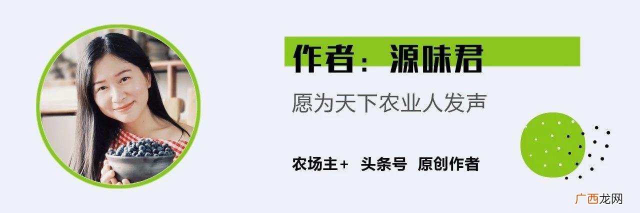 农村挣钱门路现实点的 靠谱创业门路
