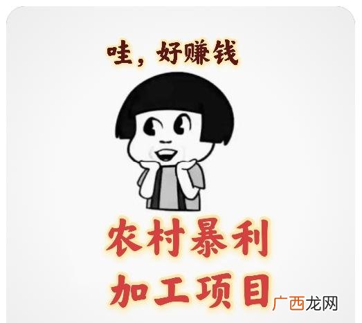 家庭作坊致富小型机械 创业小作坊大全