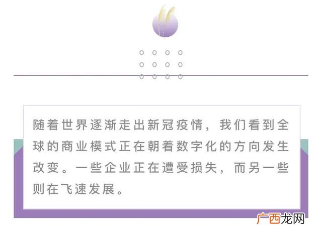 2020第二届中国创业者峰会,洲际创业教育峰会
