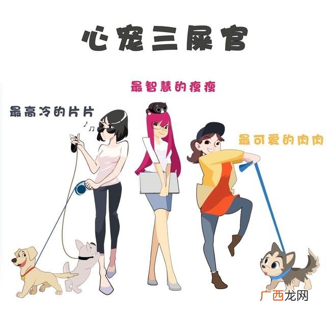 leo它爹养了什么狗 leo它爹