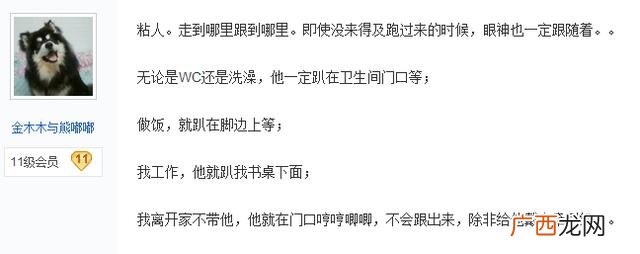 leo它爹养了什么狗 leo它爹