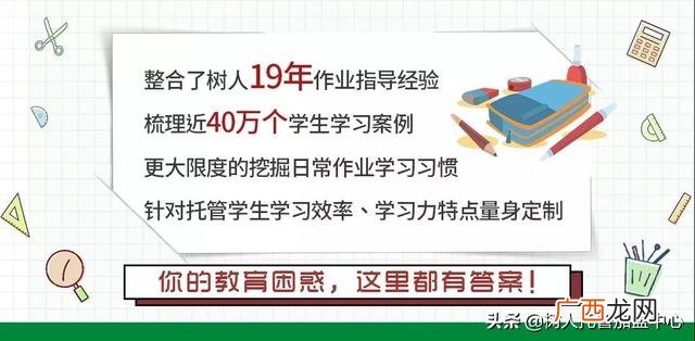 加盟小学托管教育机构,加盟小学生托管班