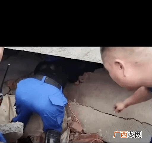 关于真实的例子,真实发生的小故事
