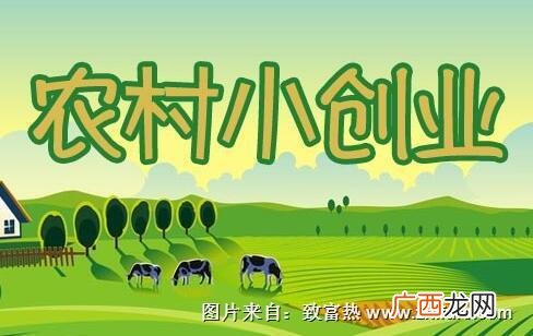 创业小项目,适合农村宝妈的创业项目