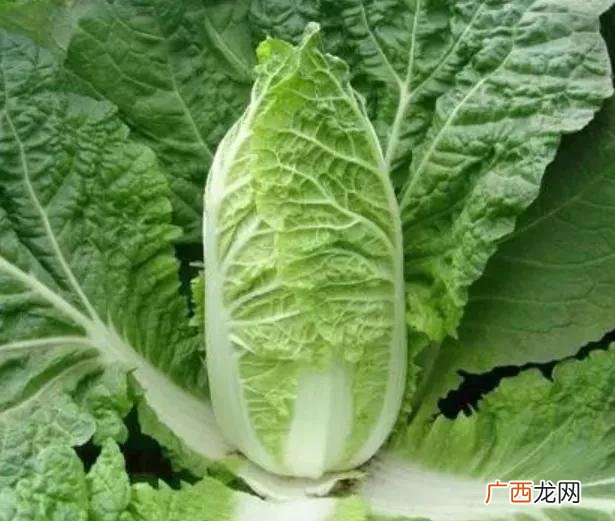 2021年农村适合做什么生意,买什么机器可以自己在家创业