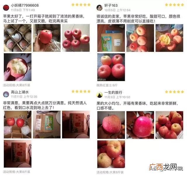 大学生创业想法英语作文 大学生自主创业的原因英语