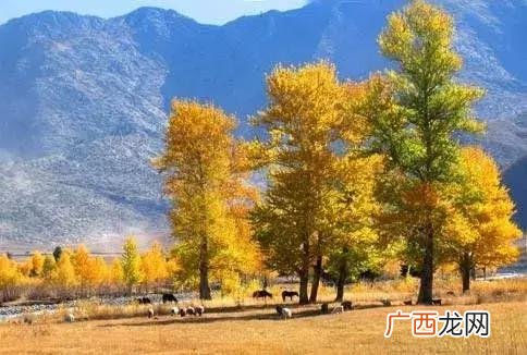宛县怎么读 宛平路读音