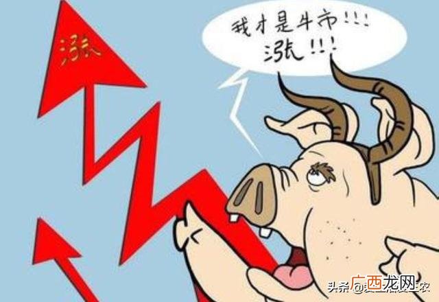 养牛的利润与成本 创业喂牛