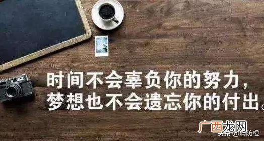 信息系统项目管理工程师证书,信息系统集成项目管理师证书