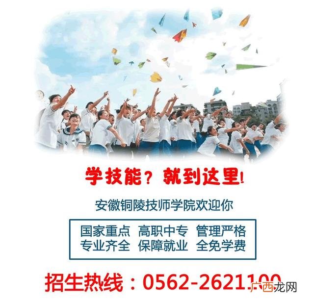 初中生报考什么专业好,初中生能报考会计吗