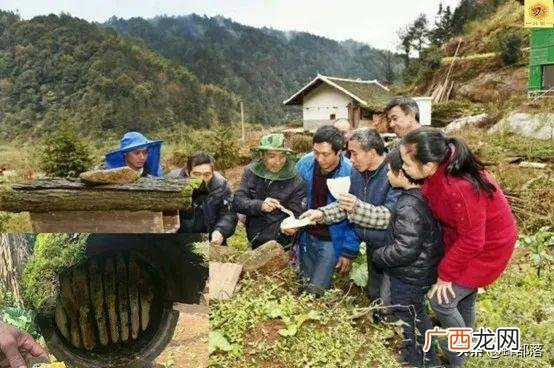农村创业致富项,小二返乡创业