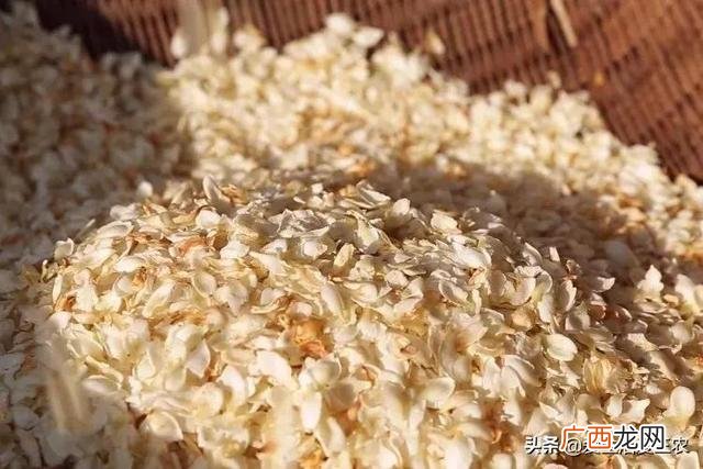 25个暴利赚钱小项目推荐 适合农村创业致富项目