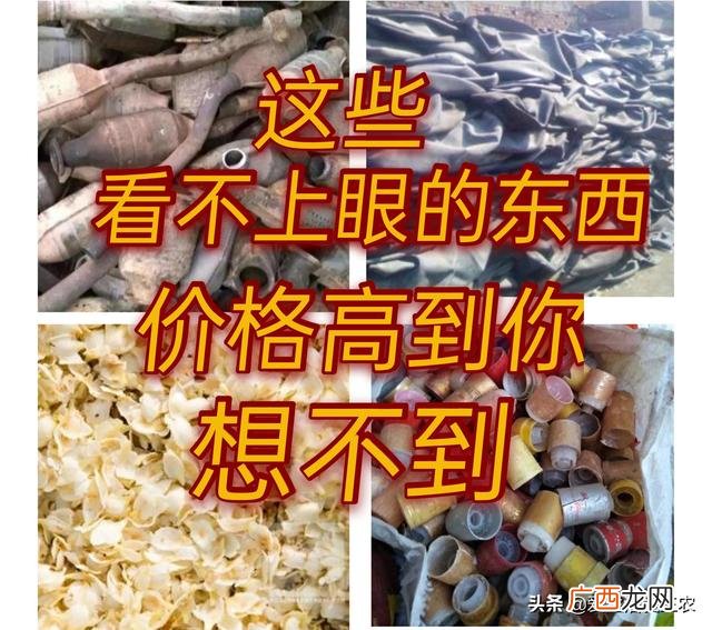 25个暴利赚钱小项目推荐 适合农村创业致富项目
