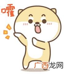厦门大学生创业贷款 厦门创业落户条件