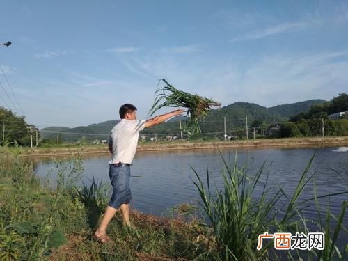 农村现在能做什么生意,今年农村干什么行业挣钱