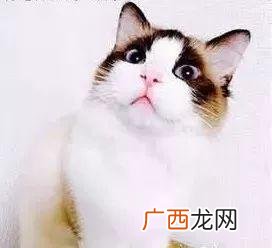 二元店货品怎么摆放 二元店装修