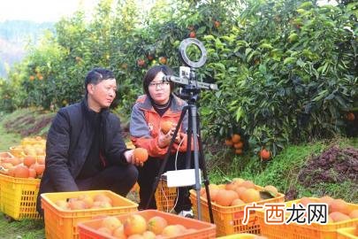 农村开什么厂子赚钱 生产行业创业