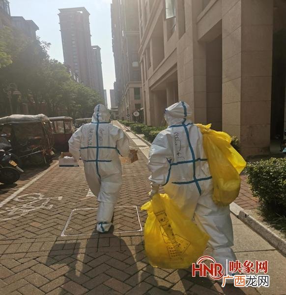大树王接单平台下载,大树创业平台