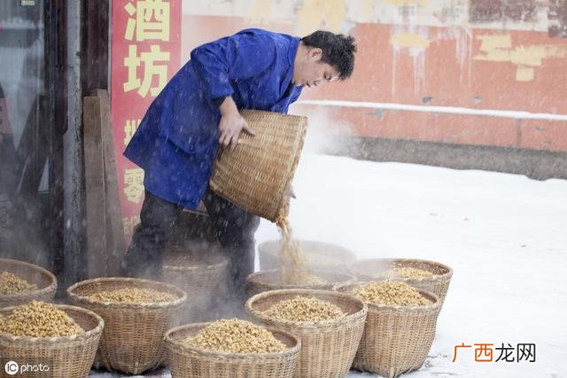 创业酿酒视频,酿酒创业的实施