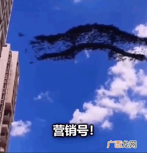 小龙虾,小龙创业记视频