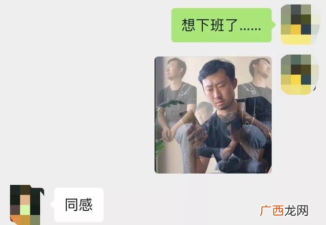 小龙虾,小龙创业记视频