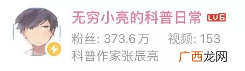 小龙虾,小龙创业记视频