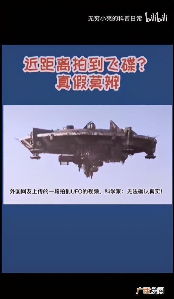 小龙虾,小龙创业记视频