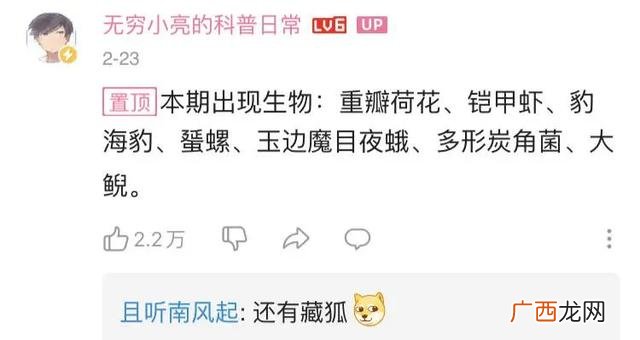 小龙虾,小龙创业记视频