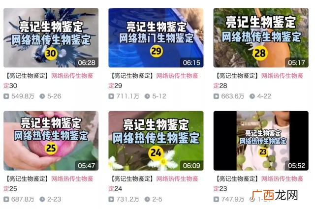 小龙虾,小龙创业记视频