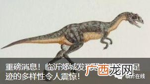 临沂创业大学报名 新余创业大道