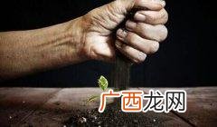 一个创业者的自述,创业的辛苦只有自己知道