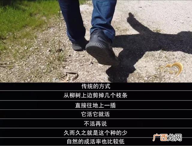 创新创业大赛优秀作品ppt 人才创新创业生态园