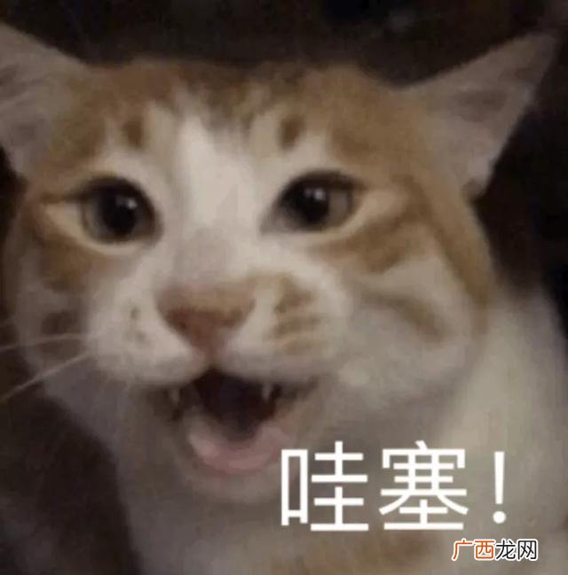 小区门口卖什么赚钱,小区门口创业