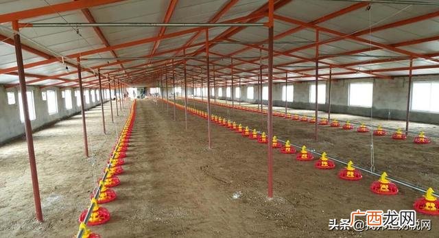 家庭办厂3一8万项目,回村创业找什么部门