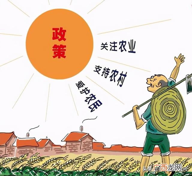 家庭办厂3一8万项目,回村创业找什么部门