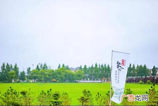 中国农村致富信息网 东北农村土地创业项目