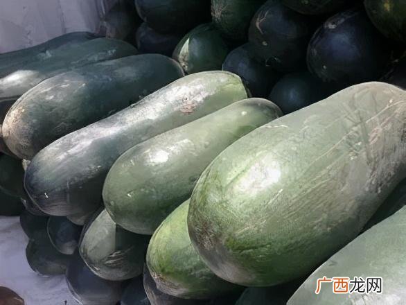 小冬瓜哪个品种好,小冬瓜图片