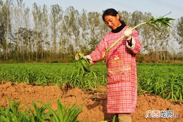 58手工活在家手工活 58同城在家做手工赚钱