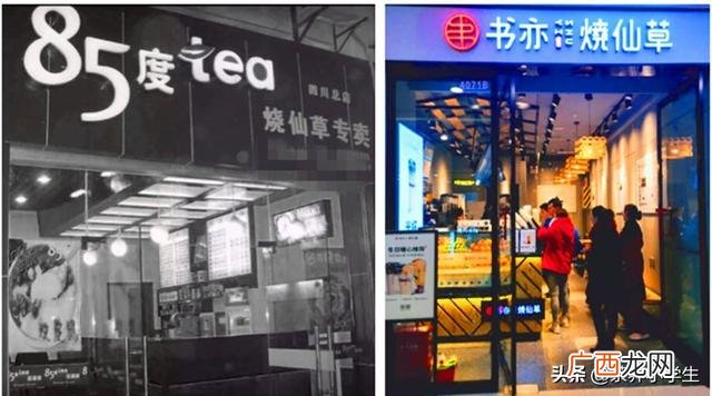 十大烧仙草店品牌 冷饮加盟店10大排名