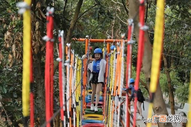 十大网红游乐项目 网红游乐设备项目