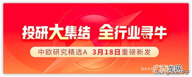中欧研究精选混合a,中欧创业板两年定开混合C