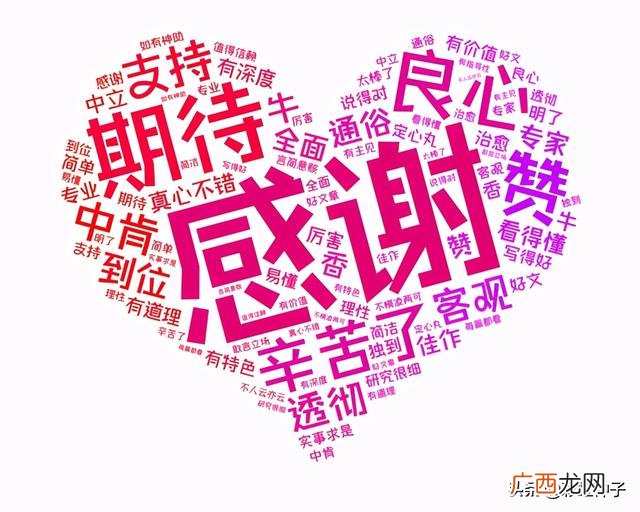 中欧研究精选混合a,中欧创业板两年定开混合C