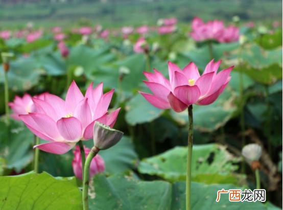 励志语录经典短句 男人事业励志名言短句霸气
