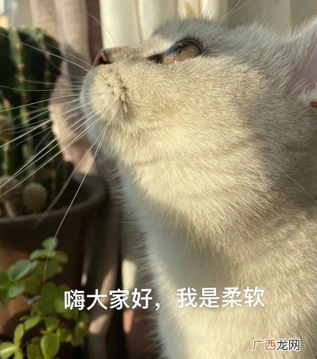 小生意创业,网上创业小项目