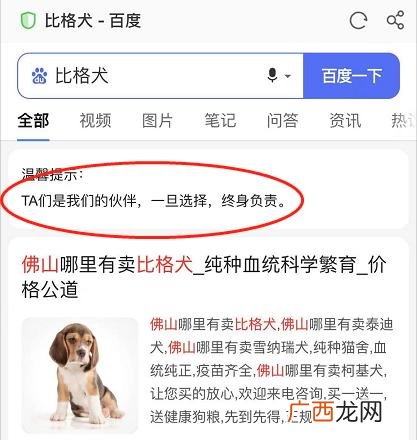 养狗选什么品种,养狗创业养什么品种好
