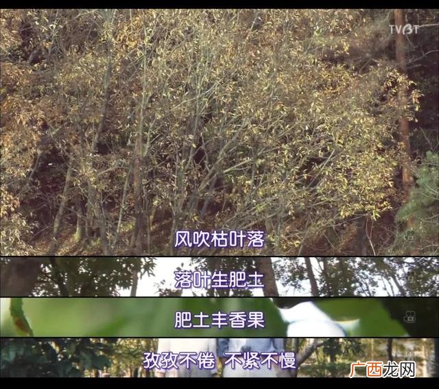完美关系豆瓣评分多少,创业时代豆瓣评分