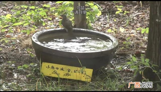 完美关系豆瓣评分多少,创业时代豆瓣评分