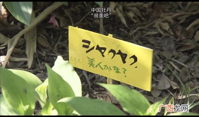 完美关系豆瓣评分多少,创业时代豆瓣评分