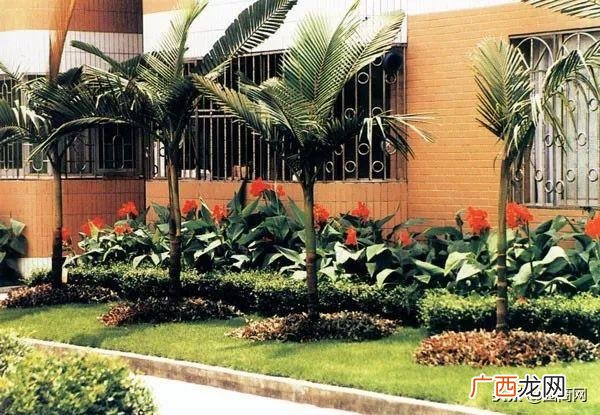 园艺方向转什么比较好,园艺创业的方向