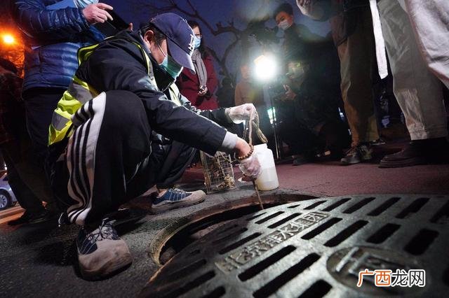 安乐林道路工程项目,市政道路项目划分怎么划分